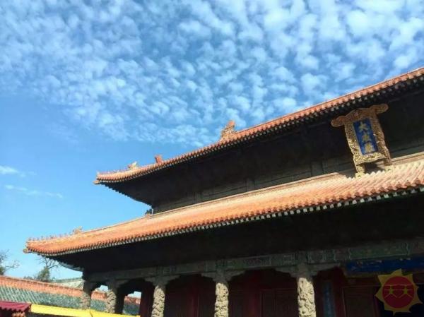 山东之旅，探寻自然之美，心灵栖息地